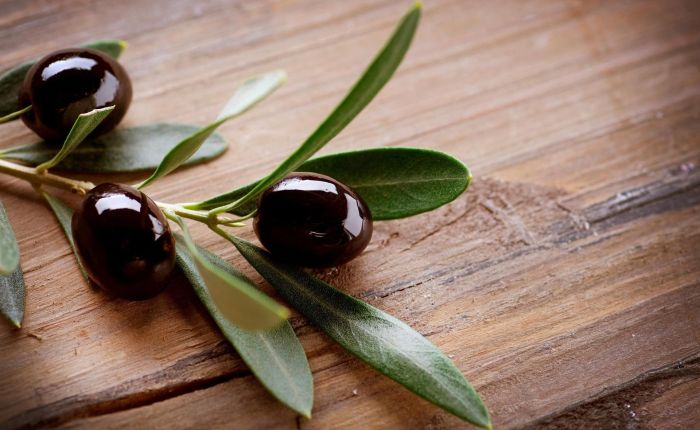 Olive Picking: A dying tradition?